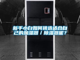 行業(yè)新聞新手小白如何挑選適合自己的加濕器／除濕器呢？