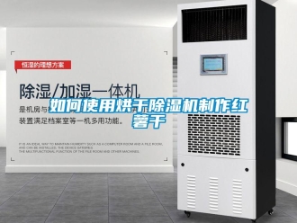 常見問題如何使用烘干除濕機制作紅薯干