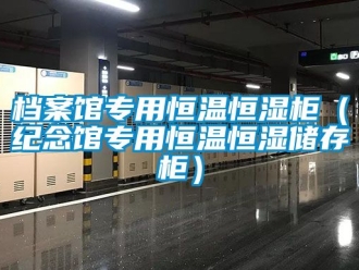 知識百科檔案館專用恒溫恒濕柜（紀(jì)念館專用恒溫恒濕儲存柜）