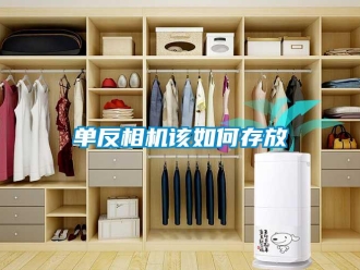 常見(jiàn)問(wèn)題單反相機(jī)該如何存放
