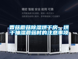 知識百科香菇蘑菇除濕烘干房，烘干抽濕蘑菇時的注意事項