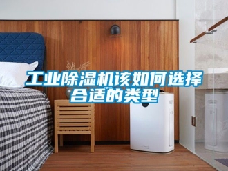 常見問(wèn)題工業(yè)除濕機(jī)該如何選擇合適的類型