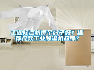 常見問題工業(yè)除濕機(jī)哪個(gè)牌子好？推薦幾款工業(yè)除濕機(jī)品牌？