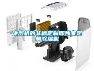企業(yè)新聞除濕機(jī)的非標(biāo)定制即獨家定制除濕機(jī)