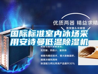 企業(yè)新聞國際標(biāo)準(zhǔn)室內(nèi)冰場(chǎng)采用安詩曼低溫除濕機(jī)