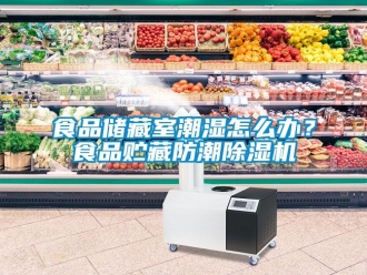 行業(yè)新聞食品儲藏室潮濕怎么辦？食品貯藏防潮除濕機(jī)