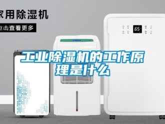 常見問題工業(yè)除濕機的工作原理是什么