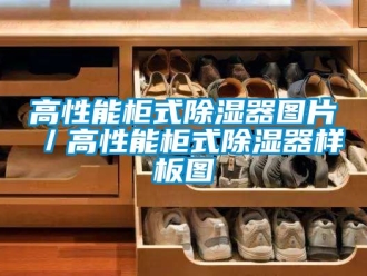 行業(yè)新聞高性能柜式除濕器圖片／高性能柜式除濕器樣板圖