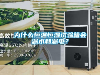 知識百科為什么恒溫恒濕試驗箱會漏水和漏電？