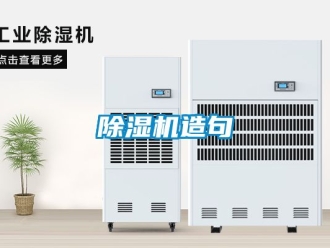 行業(yè)新聞除濕機造句