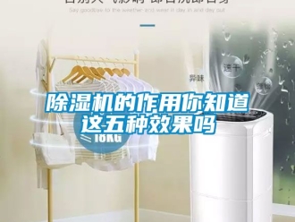 企業(yè)新聞除濕機的作用你知道這五種效果嗎