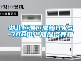 知識(shí)百科湖北恒溫恒濕箱HWS-70B低溫加濕培養(yǎng)箱
