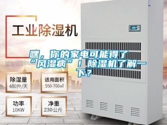 行業(yè)新聞嘿，你的家電可能得了“風(fēng)濕病”！除濕機(jī)了解一下？