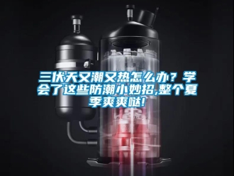 常見(jiàn)問(wèn)題三伏天又潮又熱怎么辦？學(xué)會(huì)了這些防潮小妙招,整個(gè)夏季爽爽噠!