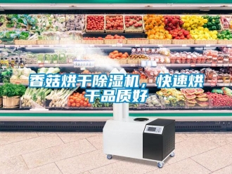 知識百科香菇烘干除濕機(jī)，快速烘干品質(zhì)好