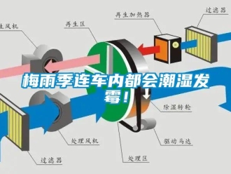 行業(yè)新聞梅雨季連車內(nèi)都會(huì)潮濕發(fā)霉！