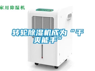 知識(shí)百科轉(zhuǎn)輪除濕機(jī)成為“干爽能手”