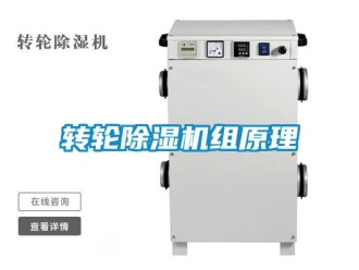 知識百科轉(zhuǎn)輪除濕機組原理