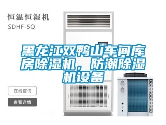 企業(yè)新聞黑龍江雙鴨山車間庫房除濕機(jī)，防潮除濕機(jī)設(shè)備