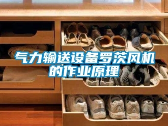 行業(yè)新聞氣力輸送設(shè)備羅茨風機的作業(yè)原理