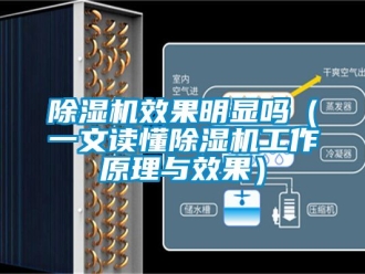行業(yè)新聞除濕機效果明顯嗎（一文讀懂除濕機工作原理與效果）