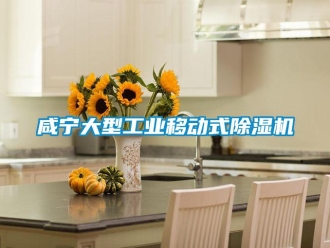 常見問題咸寧大型工業(yè)移動(dòng)式除濕機(jī)