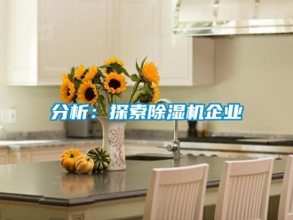 企業(yè)新聞分析：探索除濕機(jī)企業(yè)