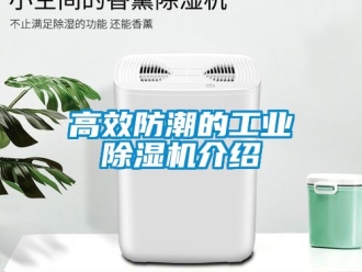 常見(jiàn)問(wèn)題高效防潮的工業(yè)除濕機(jī)介紹