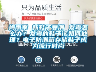 常見問題梅雨季 新鞋子受潮 發(fā)霉怎么辦？發(fā)霉的鞋子該如何處理？電子防潮箱存儲(chǔ)鞋子成為流行時(shí)尚