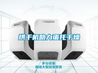 行業(yè)新聞烘干機助力蛋托干燥