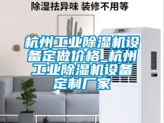 企業(yè)新聞杭州工業(yè)除濕機(jī)設(shè)備定做價(jià)格_杭州工業(yè)除濕機(jī)設(shè)備定制廠家