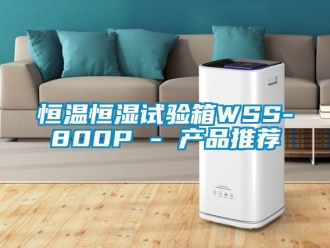 知識(shí)百科恒溫恒濕試驗(yàn)箱WSS-800P - 產(chǎn)品推薦