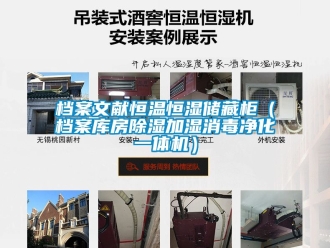 知識百科檔案文獻(xiàn)恒溫恒濕儲藏柜（檔案庫房除濕加濕消毒凈化一體機(jī)）