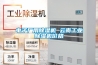 電子廠用除濕機 云南工業(yè)除濕機價格