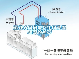 企業(yè)新聞工業(yè)大風(fēng)扇是奶牛場降溫除濕的神器