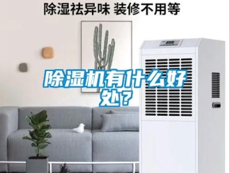 行業(yè)新聞除濕機(jī)有什么好處？