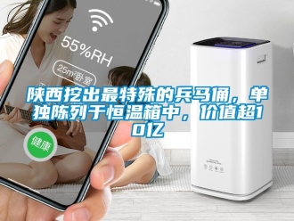 知識百科陜西挖出最特殊的兵馬俑，單獨陳列于恒溫箱中，價值超10億