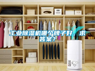 常見問題工業(yè)除濕機(jī)哪個(gè)牌子好，求答案？
