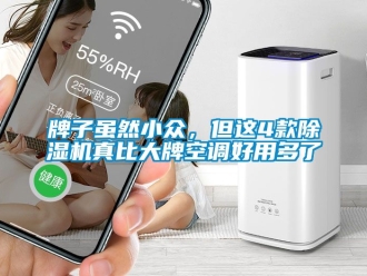 行業(yè)新聞牌子雖然小眾，但這4款除濕機(jī)真比大牌空調(diào)好用多了
