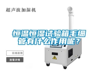 知識百科恒溫恒濕試驗箱毛細管有什么作用呢？