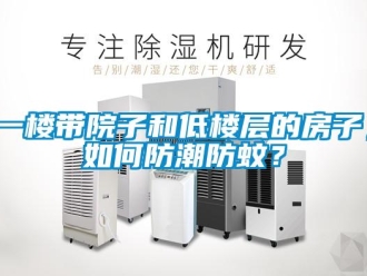 常見問題一樓帶院子和低樓層的房子，如何防潮防蚊？