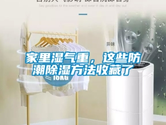 常見問(wèn)題家里濕氣重，這些防潮除濕方法收藏了