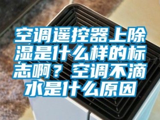 行業(yè)新聞空調(diào)遙控器上除濕是什么樣的標志啊？空調(diào)不滴水是什么原因