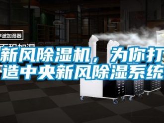 知識百科新風除濕機，為你打造中央新風除濕系統(tǒng)