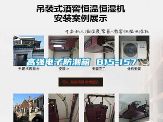常見(jiàn)問(wèn)題高強(qiáng)電子防潮箱 B15-157