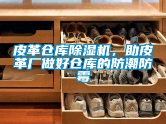 行業(yè)新聞皮革倉庫除濕機，助皮革廠做好倉庫的防潮防霉