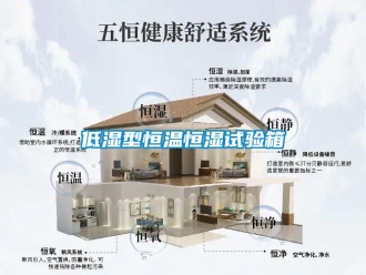 知識百科低濕型恒溫恒濕試驗(yàn)箱