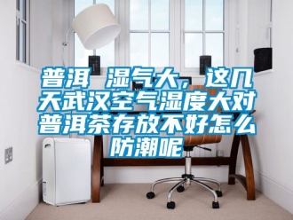 常見(jiàn)問(wèn)題普洱 濕氣大，這幾天武漢空氣濕度大對(duì)普洱茶存放不好怎么防潮呢