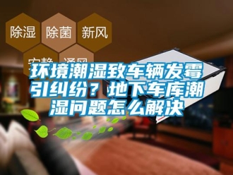 常見問題環(huán)境潮濕致車輛發(fā)霉引糾紛？地下車庫潮濕問題怎么解決