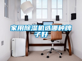 常見問題家用除濕機選哪種牌子好